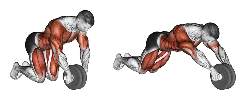 Roda Dupla Abdominal Para Exercicio